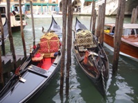 prenotare pullmini e pullman per escursioni turistiche da Venezia